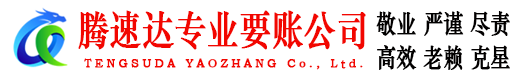 安陆腾速达清债公司